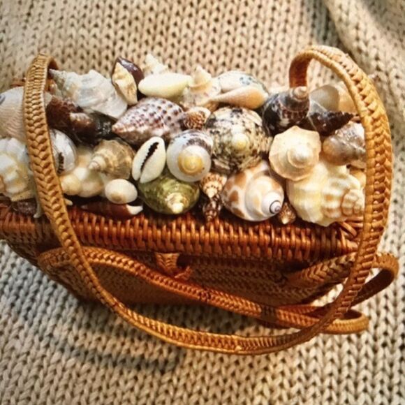 Shell Shocked Purse   - Picture 4 of 8